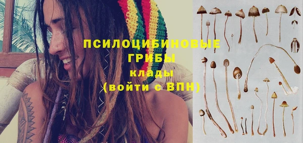героин Ельня