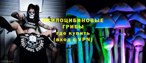 героин Ельня