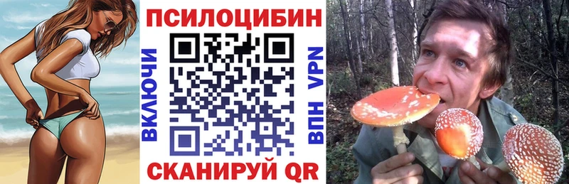 Псилоцибиновые грибы MAGIC MUSHROOMS  Купить  Людиново 